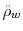  \hat{\rho}_{w}