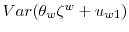  Var(\theta_{w}\zeta^{w}+u_{w1})