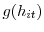  g(h_{it})
