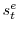  s_{t}^{e}