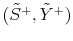  (\tilde{S}^{+},\tilde{Y}^{+})