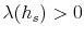  \lambda(h_{s})>0