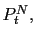 $ P_{t}^{N},$