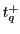 $ t_{q}^{+}$