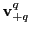 $ \mathbf{v}_{+q}^{q}$