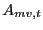 $\displaystyle A_{mv,t}$