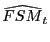 $\displaystyle \widehat{FSM}_{t}$