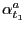 $ \alpha_{t_{1}}^{a}$