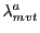 $ \lambda_{mvt}^{a}$