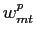 $\displaystyle w_{mt}^{p}$
