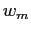 $ w_{m}$