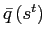 $ \bar{q}\left( s^{t}\right) $
