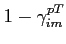 $1-\gamma^{pT} _{im}$