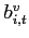 $b_{i,t}^{v}$