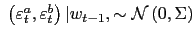 $ \;\left( \varepsilon_{t}^{a},\varepsilon_{t}^{b}\right) \vert w_{t-1},\sim\mathcal{N}\left( 0,\Sigma\right) $
