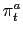 $\displaystyle \pi_{t}^{a}$