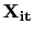 $ \mathbf{X_{it}}$