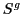 $ S^{g}$