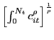 $ \left[ \int_{0}^{N_{t}} c_{it} ^{\rho} \right] ^{\frac{1}{\rho}}$