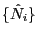 $ \{\hat {N}_{i} \}$
