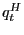 $ q_{t} ^{H}$