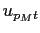 $ u_{p_{M}t}$