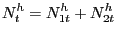 $\displaystyle N^{h}_{t} = N^{h}_{1t} + N^{h}_{2t}$