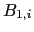 $ B_{1,i}$