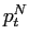 $ p_{t}^{N}$