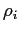 $ \rho_{i}$