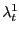 $ \lambda^{1}_{t}$