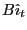 $ B\hat{\imath}_{t}$