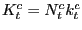$ K_{t}^{c} =N_{t}^{c}k_{t}^{c}$