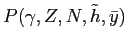 $ P(\gamma, Z, N, \tilde h, \bar y)$
