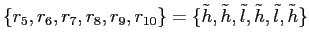 $ \{r_{5},r_{6},r_{7},r_{8},r_{9},r_{10}\}=\{\tilde h, \tilde h, \tilde l, \tilde h, \tilde l, \tilde h\}$