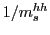 $ 1/m_{s}^{hh}$
