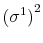 {{{\left(\sigma^1\right)^2}}}