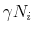 \gamma N_i