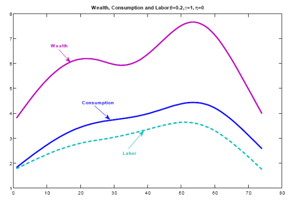 Figure 1. In my model, consumption and labor are more persistent the lower the information flow. In the latter case, it occurs also that contemporaneous consumption and labor lag wealth. The intuition for these findings lies on the mechanism through which consumers update their knowledge of wealth, expressed in the Bayesian update. Each period they choose a signal on wealth, decide consumption and labor based on the information from the signal and, given their choices, update their knowledge of wealth. The higher the processing cost, the less informative the signal. This in turn means that most of the update derives from the observations of past values of consumption and labor. As wealth accumulates, the signal consistently reports high values of wealth which trigger a reaction in behavior. This process is reflected in both delayed response to fluctuations of wealth and strong autocorrelation between current and past values of consumption and labor.