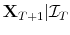  \mathbf{X}_{T+1}\vert\mathcal{I}_{T}