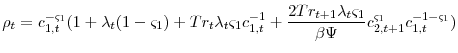 \displaystyle \rho_{t}=c_{1,t}^{-\varsigma_{1}}(1+\lambda_{t}(1-\varsigma_{1})+Tr_{t}\lambda_{t}\varsigma_{1}c_{1,t}^{-1} + \frac{2Tr_{t+1}\lambda_{t}\varsigma_{1}}{\beta\Psi}c_{2,t+1}^{\varsigma_{1}}c_{1,t}^{-1-\varsigma_{1}})