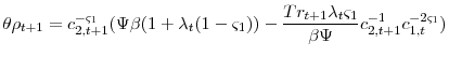 \displaystyle \theta\rho_{t+1}=c_{2,t+1}^{-\varsigma_{1}}(\Psi\beta(1+\lambda_{t}(1-\varsigma_{1}))- \frac{Tr_{t+1}\lambda_{t}\varsigma_{1}}{\beta\Psi}c_{2,t+1}^{-1}c_{1,t}^{-2\varsigma_{1}})