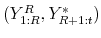 (Y_{1:R}^{R},Y^*_{R+1:t})