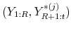  (Y_{1:R},Y^{*(j)}_{R+1:t})