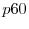  p60