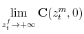 \displaystyle \lim_{z_t^f\rightarrow +\infty}\mathbf{C}(z_t^m,0)