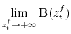 \displaystyle \lim_{z_t^f\rightarrow +\infty} \mathbf{B}(z_t^f)