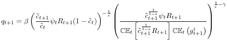 \displaystyle q_{t+1}=\beta\left(\frac{\tilde{c}_{t+1}}{\tilde{c}_{t}}\psi_{t}R_{t+1}(1-\tilde{c}_{t})\right)^{-\frac{1}{\epsilon}}\left(\frac{\tilde{c}_{t+1}^{\frac{1}{1-\epsilon}}\psi_{t}R_{t+1}}{\mathbb{CE}_{t}\left[\tilde{c}_{t+1}^{\frac{1}{1-\epsilon}}R_{t+1}\right]\mathbb{CE}_{t}\left(g_{t+1}^{i}\right)}\right)^{\frac{1}{\epsilon}-\gamma} 