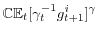  \mathbb{CE}_{t}[\gamma_{t}^{-1}g_{t+1}^{i}]^{\gamma}