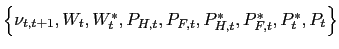 $ \left\{ \nu_{t,t+1},W_{t},W_{t}^{\ast},P_{H,t},P_{F,t},P_{H,t}^{\ast},P_{F,t}^{\ast },P_{t}^{\ast},P_{t}\right\} $